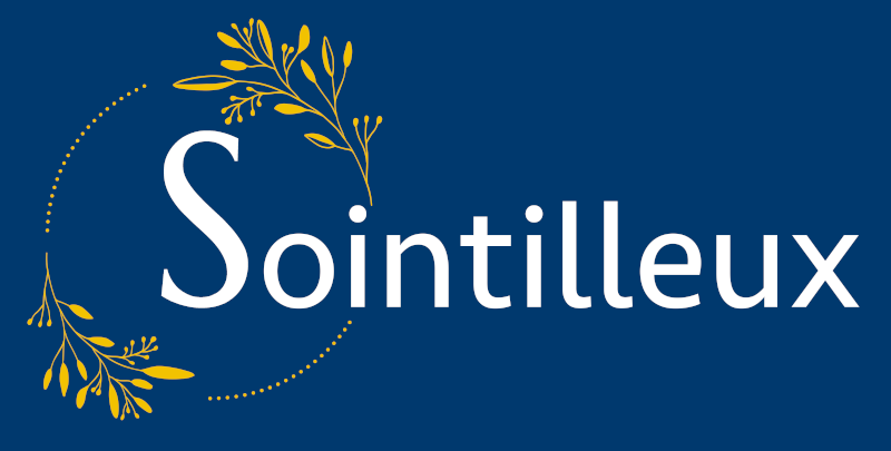 Sointilleux